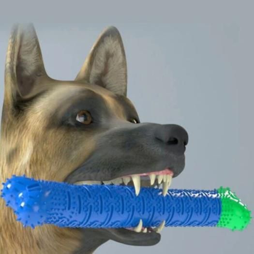 2 In 1 Chew Toy for your cute puppy