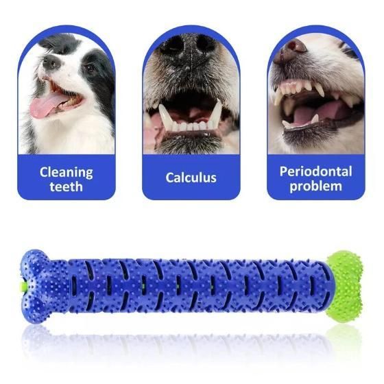 2 In 1 Chew Toy for your cute puppy