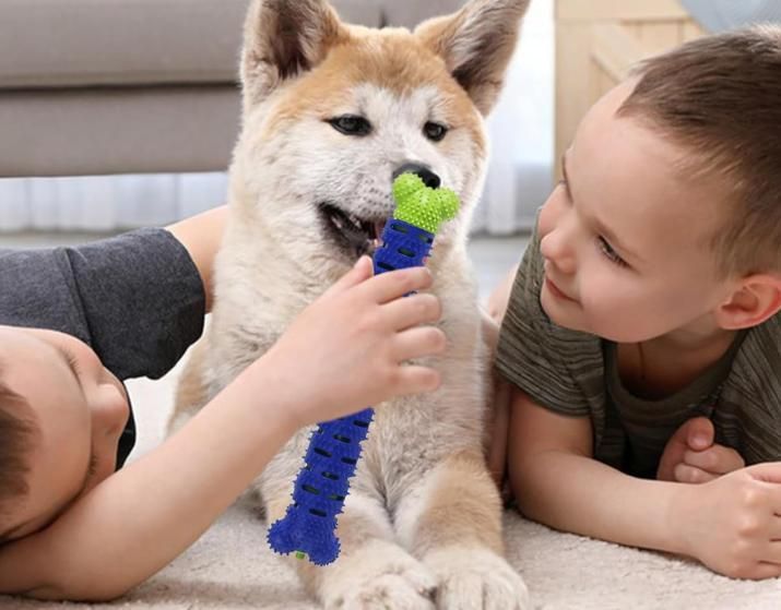 2 In 1 Chew Toy for your cute puppy